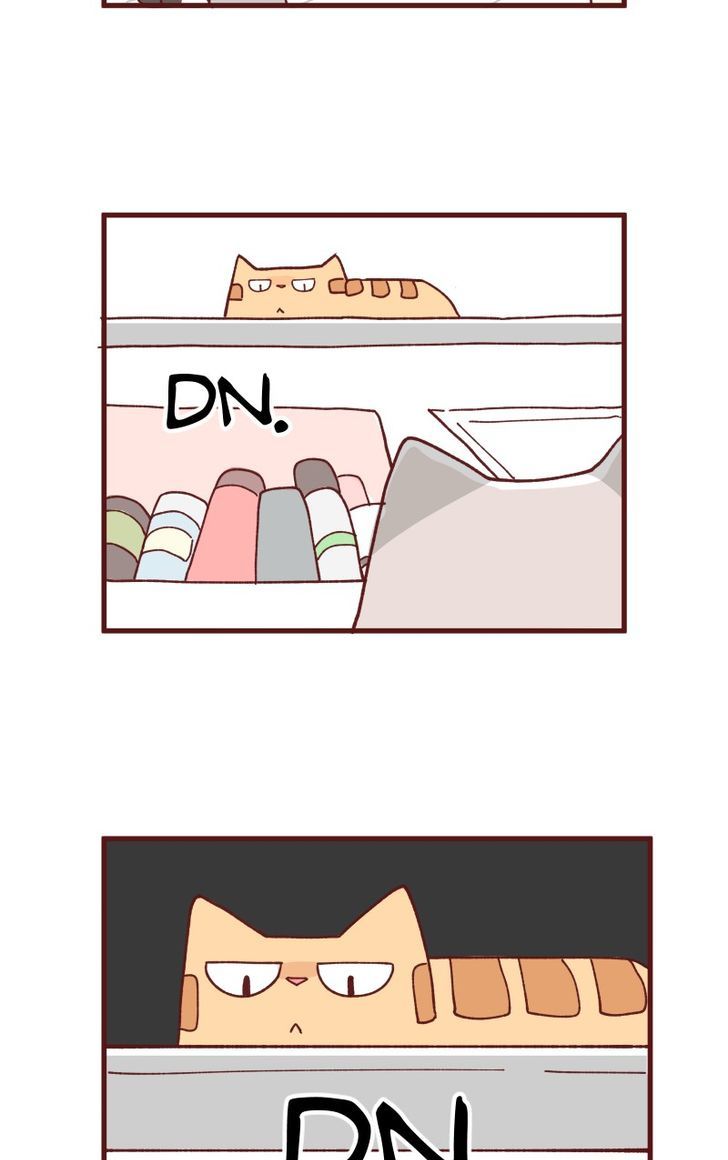 Saphie: The One-Eyed Cat Chapter 88 page 7 - Chapter 88