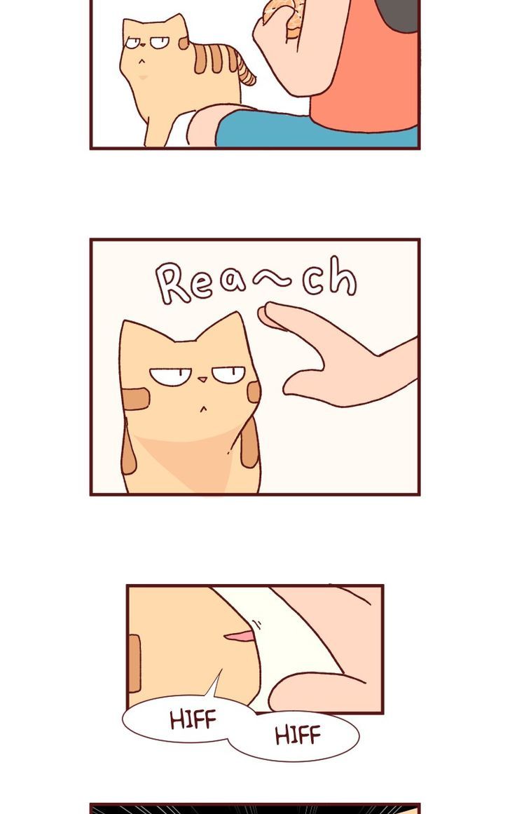 Saphie: The One-Eyed Cat Chapter 89 page 3 - Chapter 89