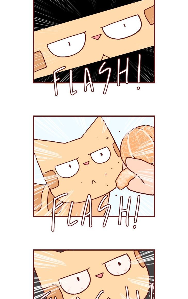 Saphie: The One-Eyed Cat Chapter 89 page 4 - Chapter 89