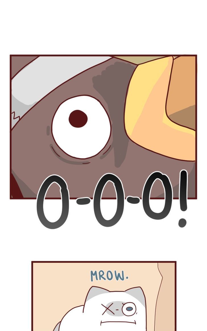 Saphie: The One-Eyed Cat Chapter 9 page 9 - Chapter 9 : The Weird Side Of...