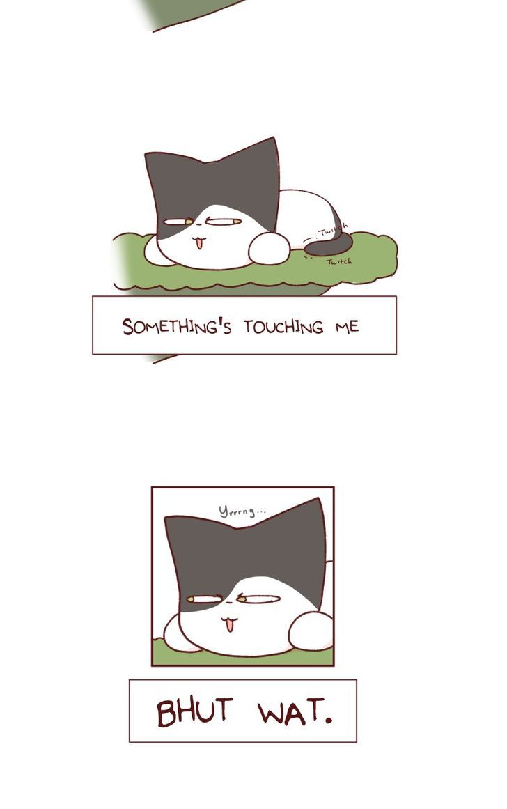 Saphie: The One-Eyed Cat Chapter 90 page 11 - Chapter 90