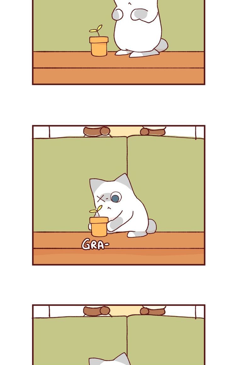 Saphie: The One-Eyed Cat Chapter 90 page 4 - Chapter 90