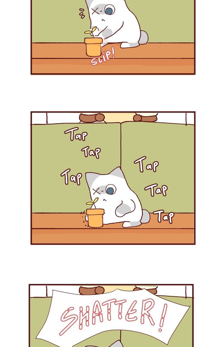 Saphie: The One-Eyed Cat Chapter 90 page 5 - Chapter 90