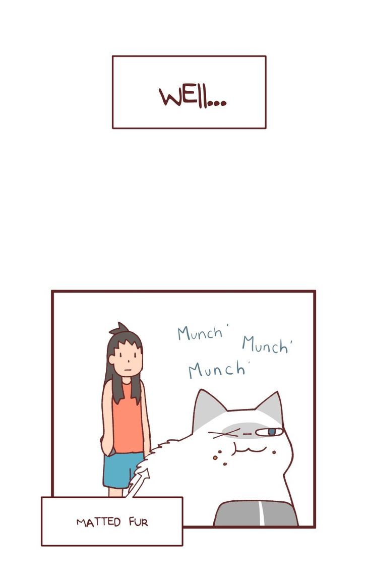 Saphie: The One-Eyed Cat Chapter 91 page 2 - Chapter 91