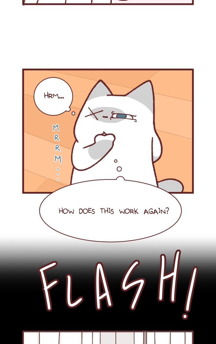 Saphie: The One-Eyed Cat Chapter 92 page 3 - Chapter 92
