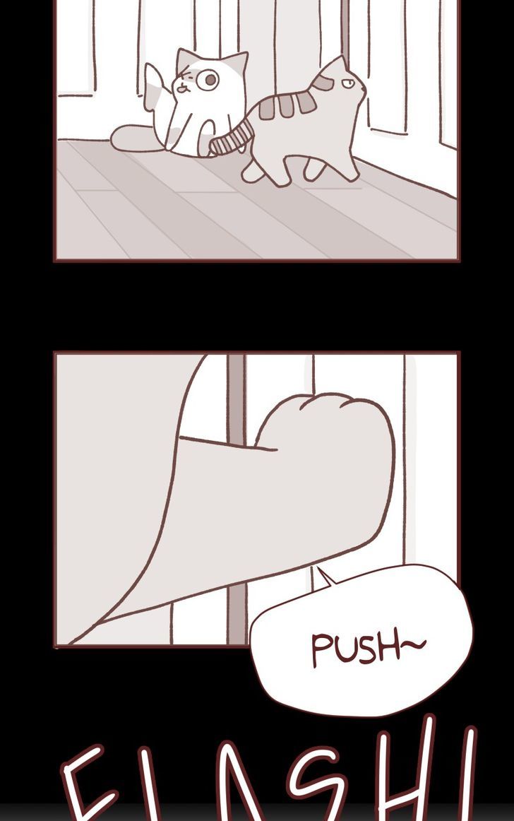 Saphie: The One-Eyed Cat Chapter 92 page 4 - Chapter 92