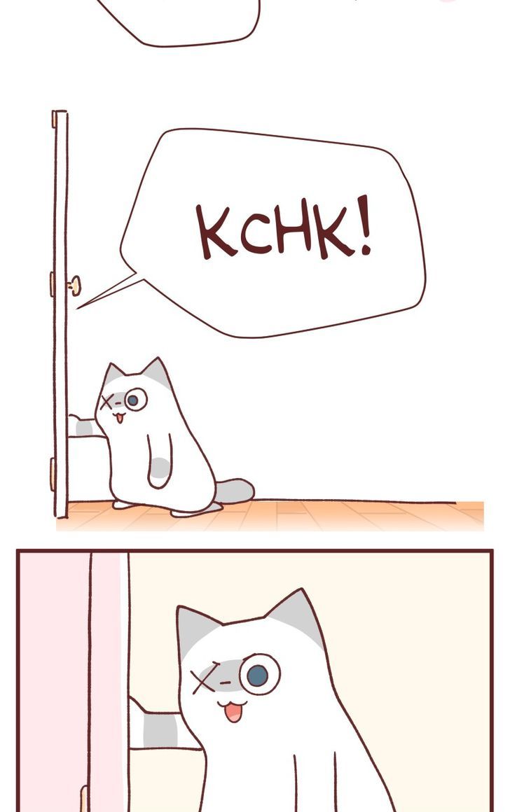 Saphie: The One-Eyed Cat Chapter 92 page 6 - Chapter 92
