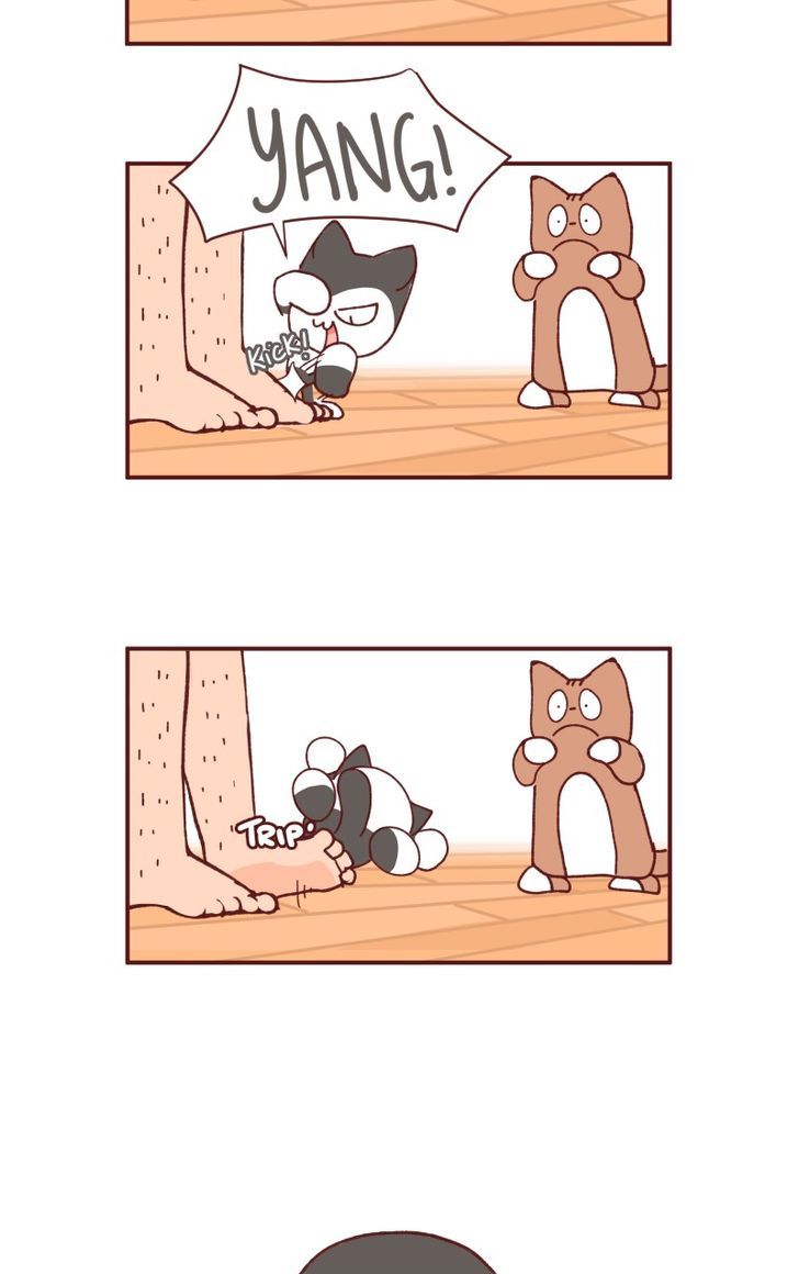 Saphie: The One-Eyed Cat Chapter 93 page 12 - Chapter 93