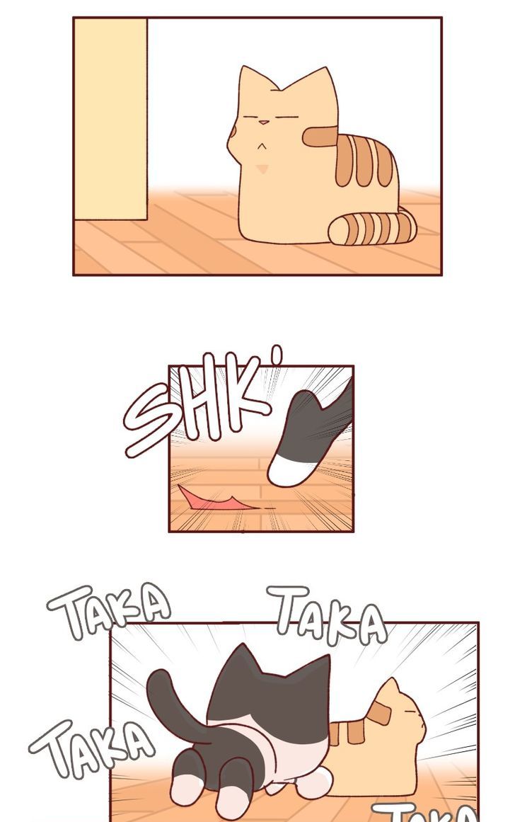 Saphie: The One-Eyed Cat Chapter 93 page 3 - Chapter 93