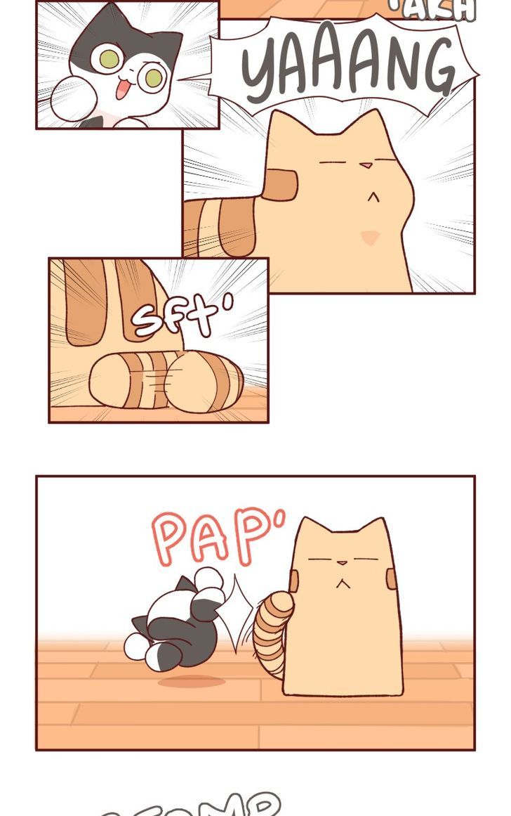 Saphie: The One-Eyed Cat Chapter 93 page 4 - Chapter 93