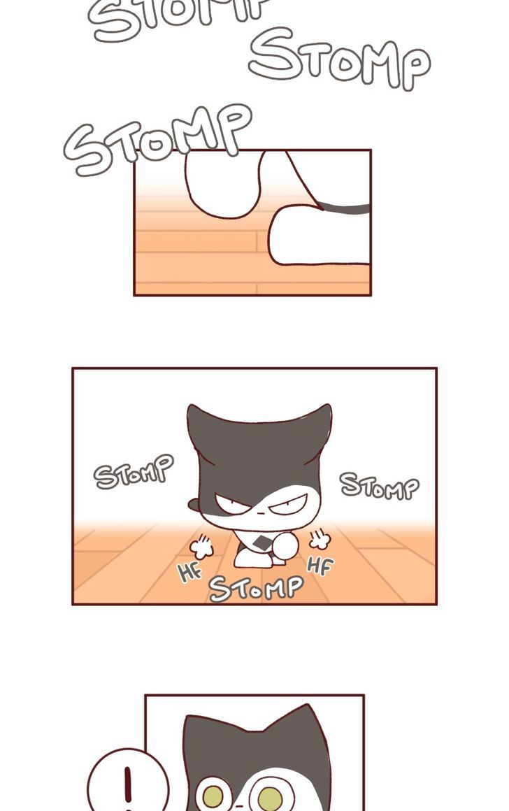 Saphie: The One-Eyed Cat Chapter 93 page 5 - Chapter 93