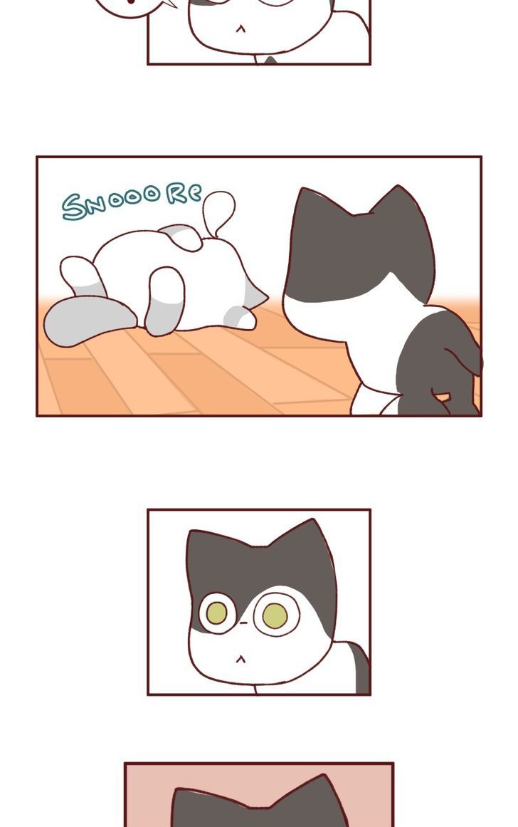 Saphie: The One-Eyed Cat Chapter 93 page 6 - Chapter 93