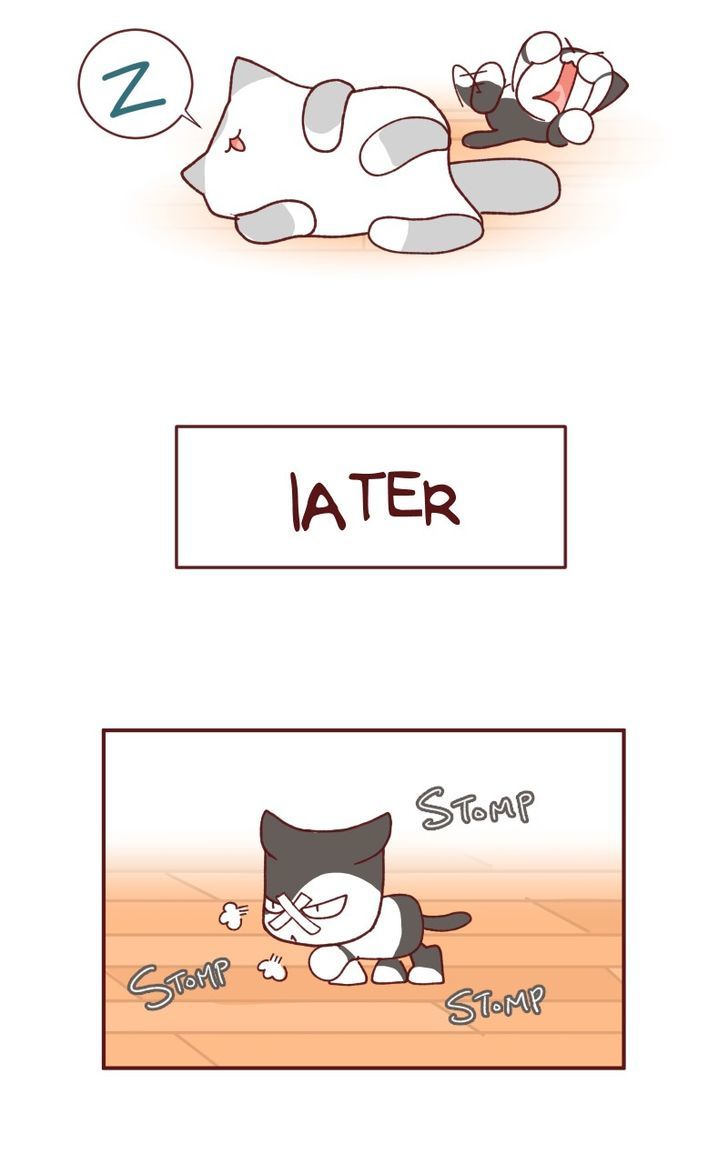 Saphie: The One-Eyed Cat Chapter 93 page 9 - Chapter 93