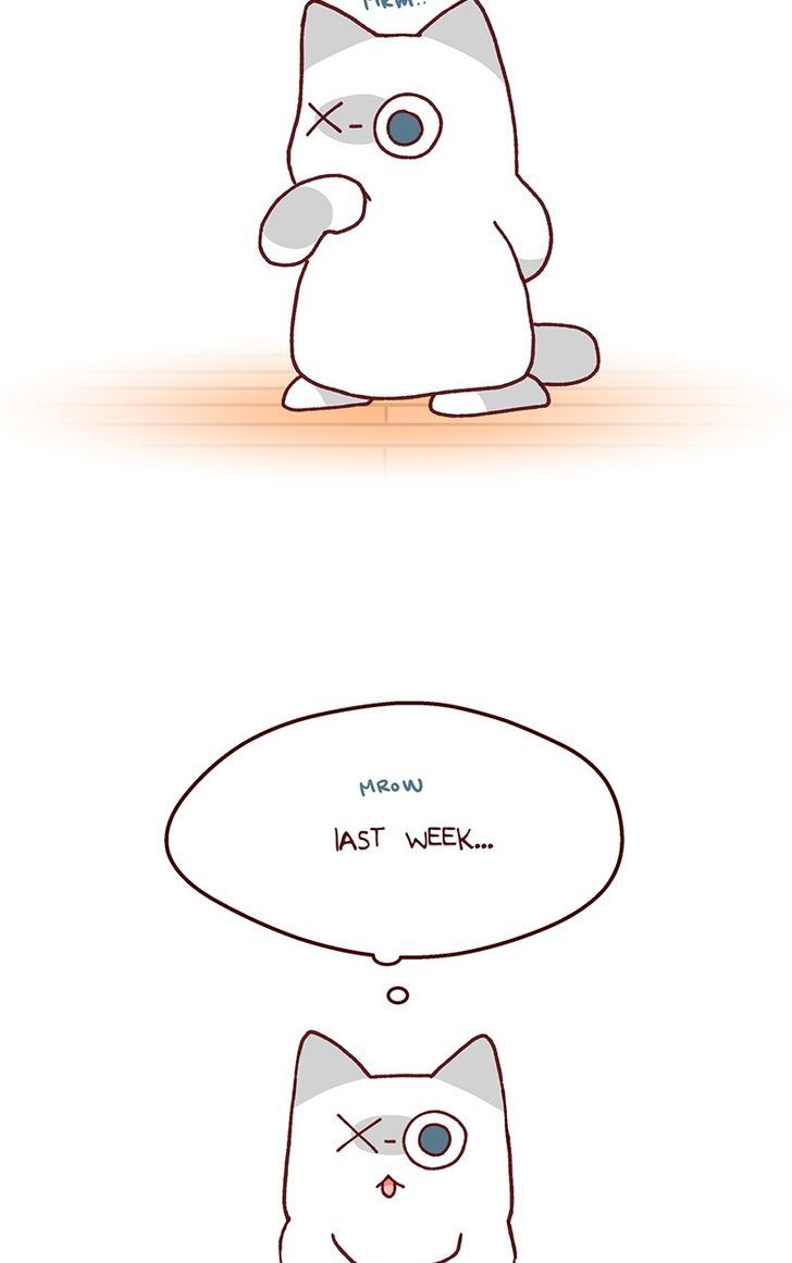 Saphie: The One-Eyed Cat Chapter 95 page 4 - Chapter 95