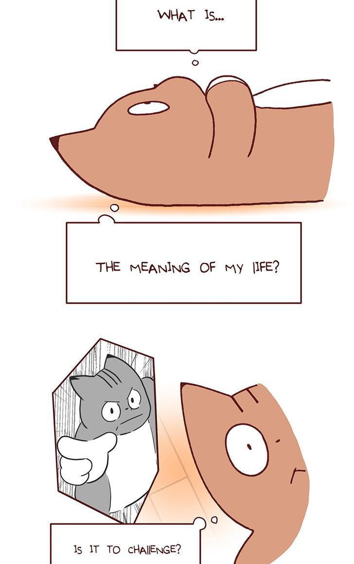 Saphie: The One-Eyed Cat Chapter 96 page 3 - Chapter 96