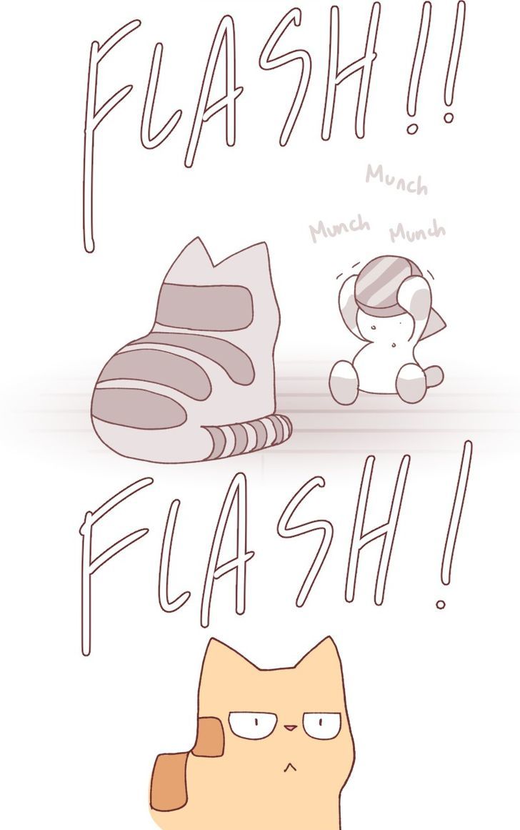 Saphie: The One-Eyed Cat Chapter 97 page 3 - Chapter 97