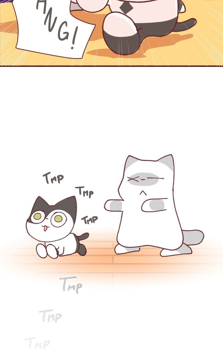 Saphie: The One-Eyed Cat Chapter 98 page 9 - Chapter 98