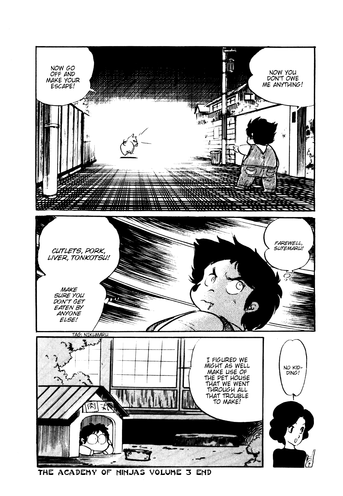 Sasuga no Sarutobi Chapter 17 page 29 - Chapter 17