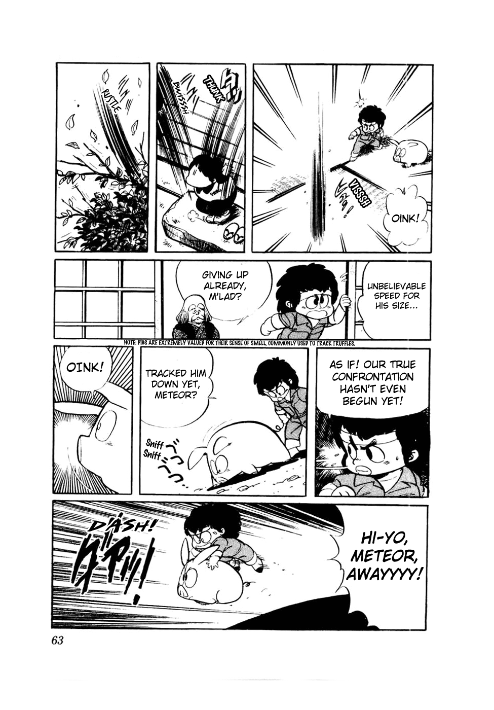 Sasuga no Sarutobi Chapter 27 page 13 - Chapter 27