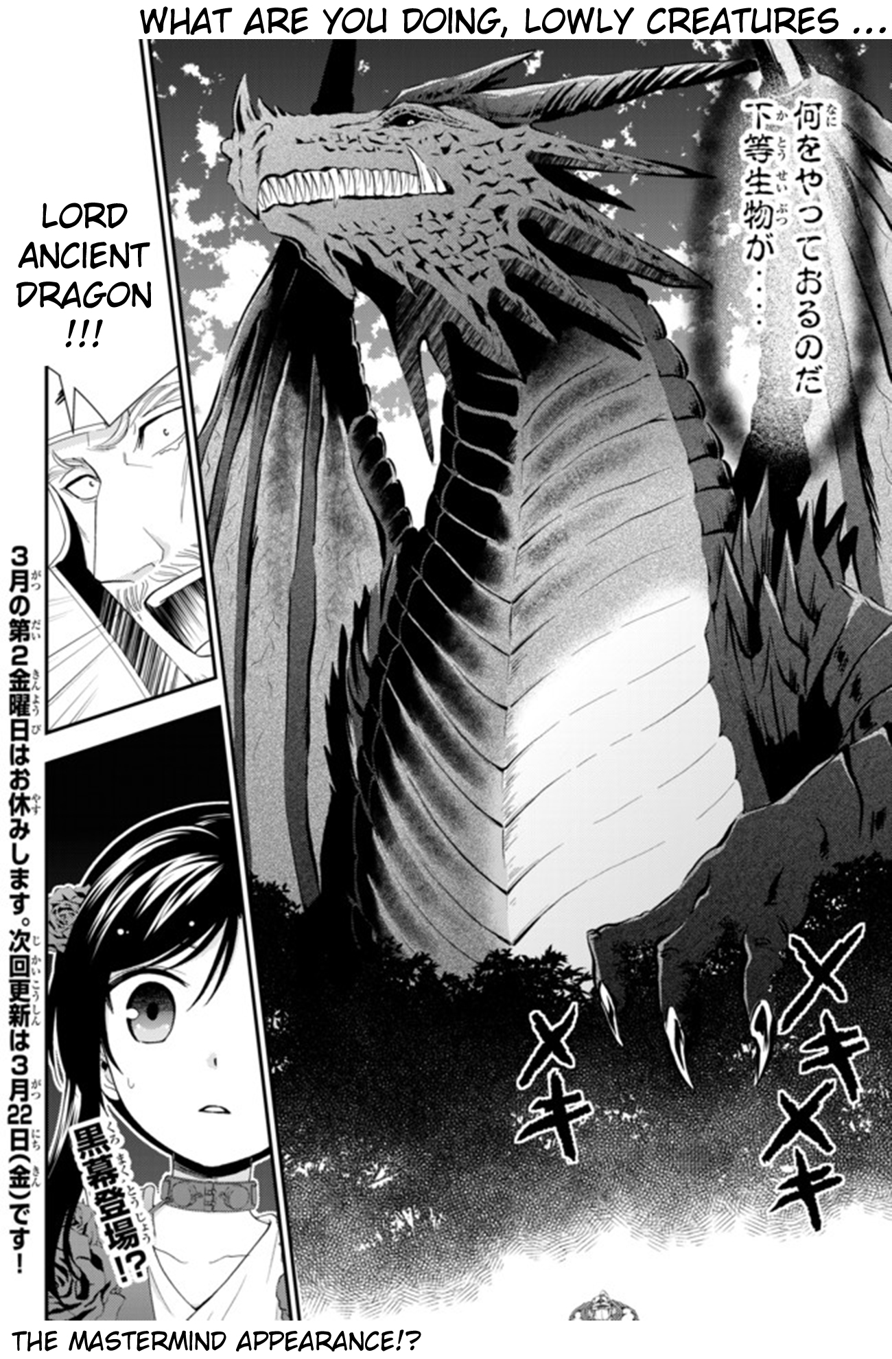 Saving 80,000 Gold Coins in the Different World for My Old Age Chapter 32.2 page 14 - Chapter 32.2: Shrine Princess, To The Battlefield (Part 3)