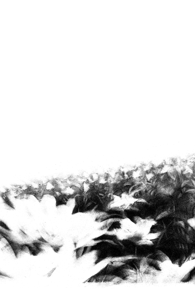 Say Hello to Black Jack Chapter 71 page 17 - Chapter 71
