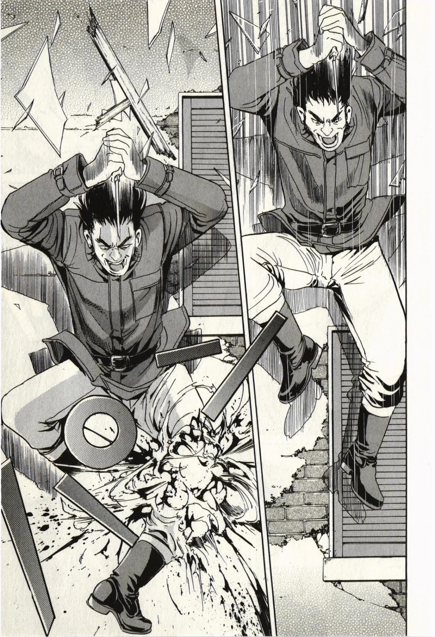 Schäferhund Chapter 1 page 35 - Chapter 1