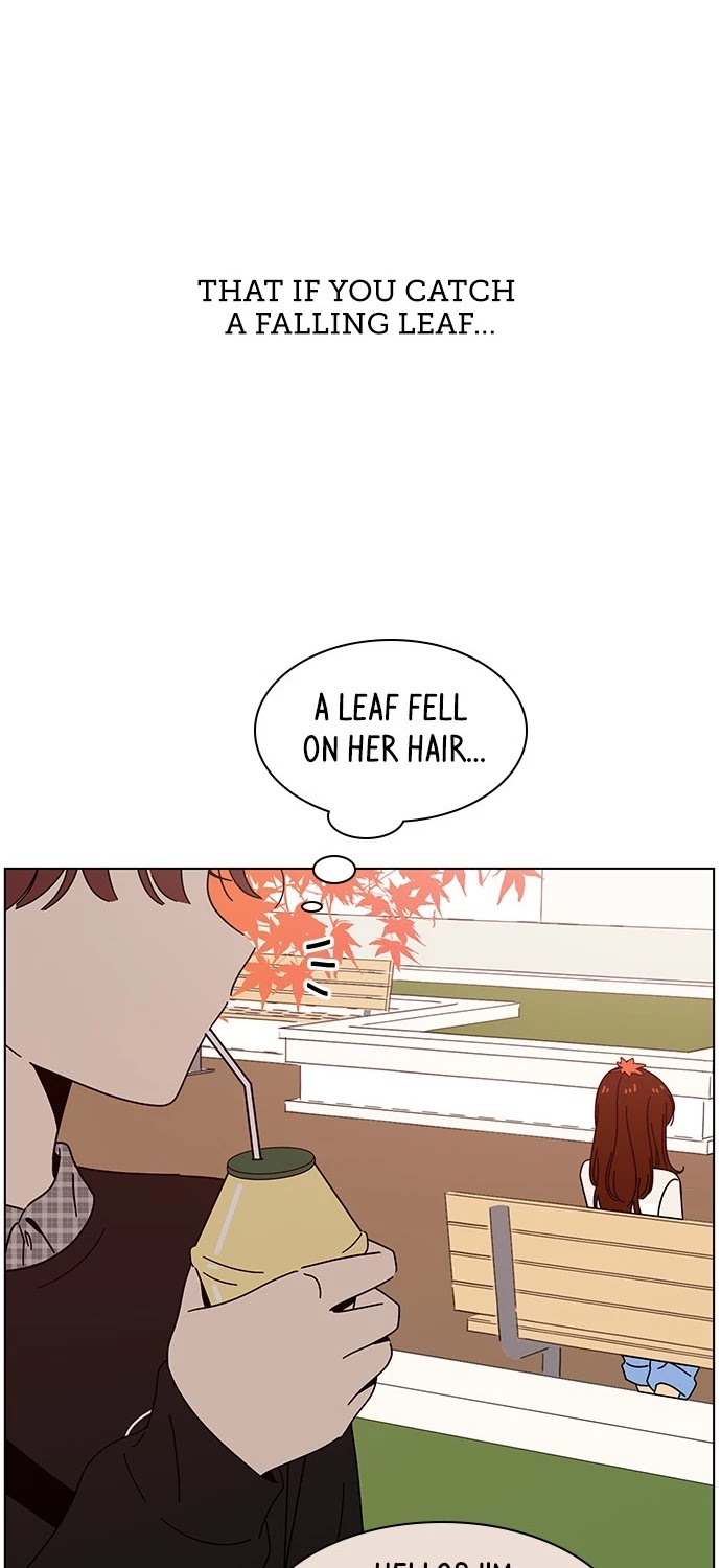 Seasons of Blossom Chapter 61 page 5 - Chapter 61: (S3) Ep. 61 - Gaeul's Flower (1)