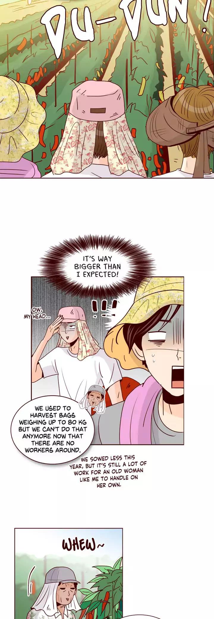 Secret Crush Chapter 64 page 12 - Chapter 64