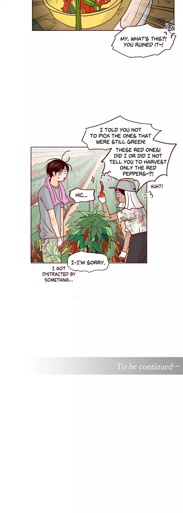 Secret Crush Chapter 64 page 30 - Chapter 64