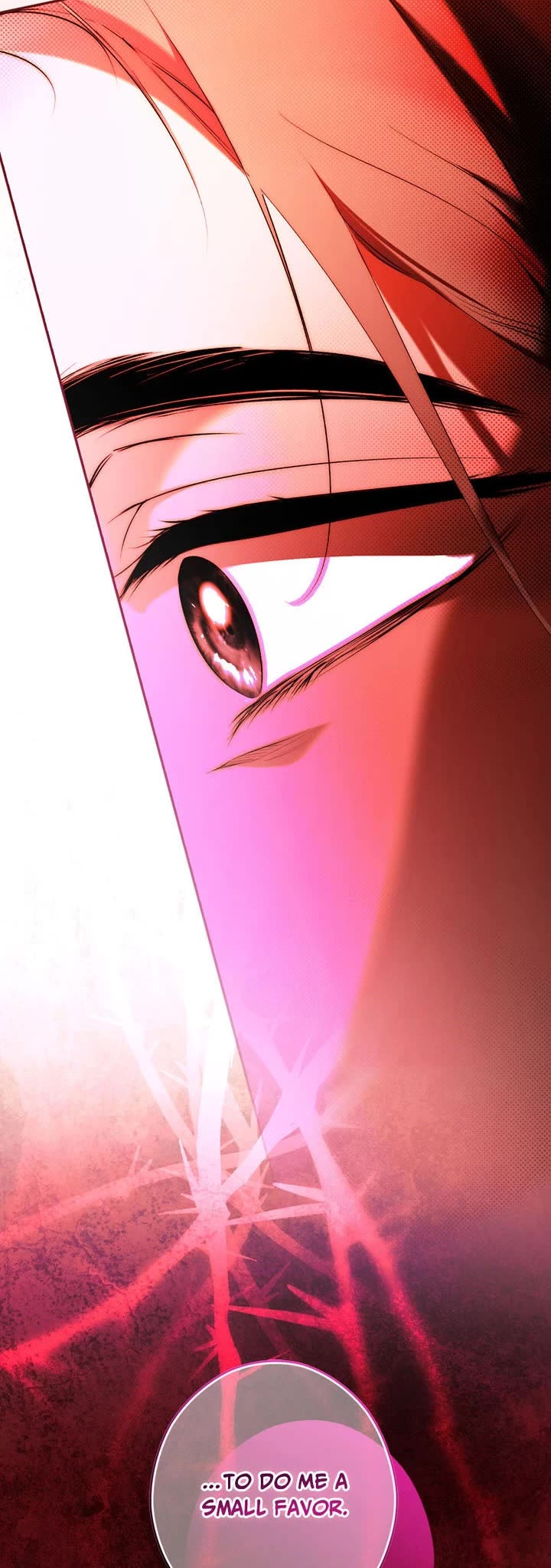 Secret Lady Chapter 100 page 33 - Chapter 100