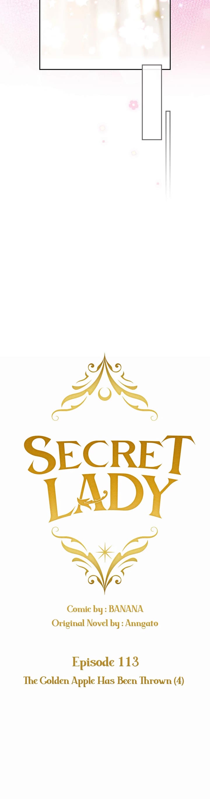 Secret Lady Chapter 113 page 10 - Chapter 113