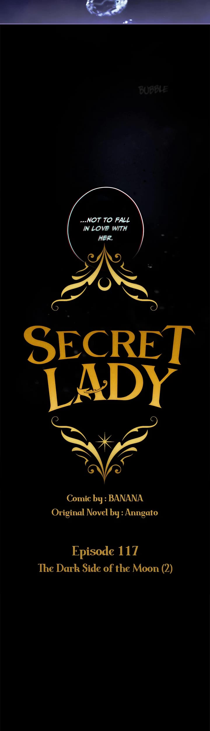 Secret Lady Chapter 117 page 9 - Chapter 117
