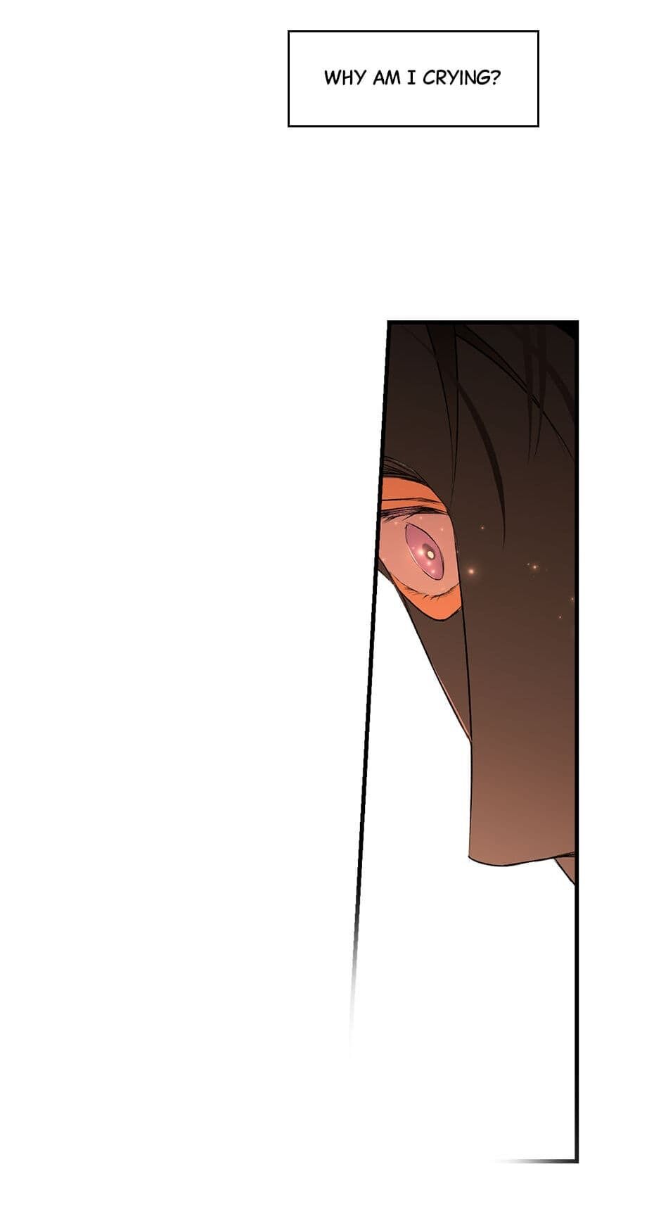 Secret Lady Chapter 19 page 55 - Chapter 19