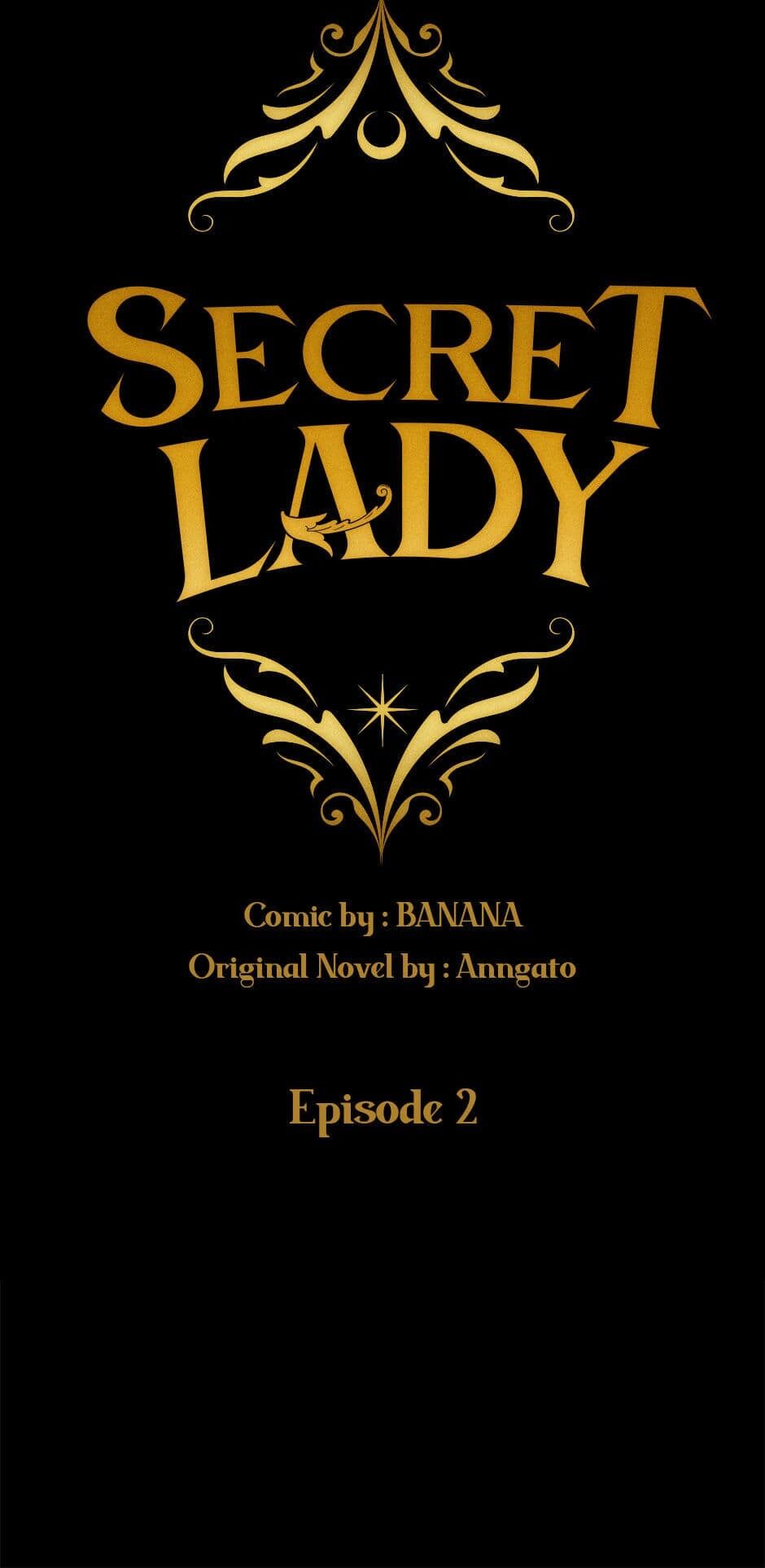 Secret Lady Chapter 2 page 17 - Chapter 2
