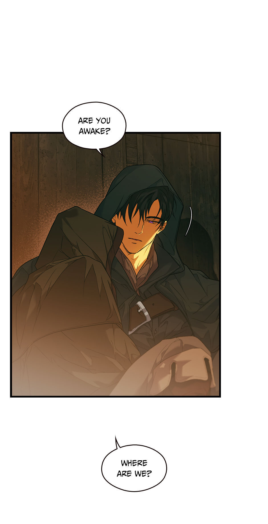 Secret Lady Chapter 20 page 5 - Chapter 20