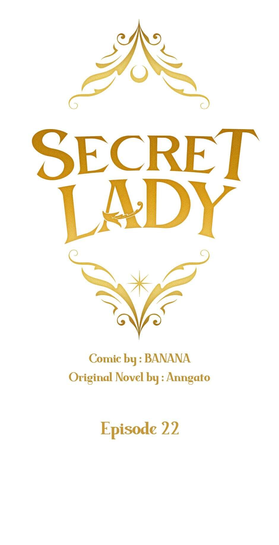 Secret Lady Chapter 22 page 3 - Chapter 22