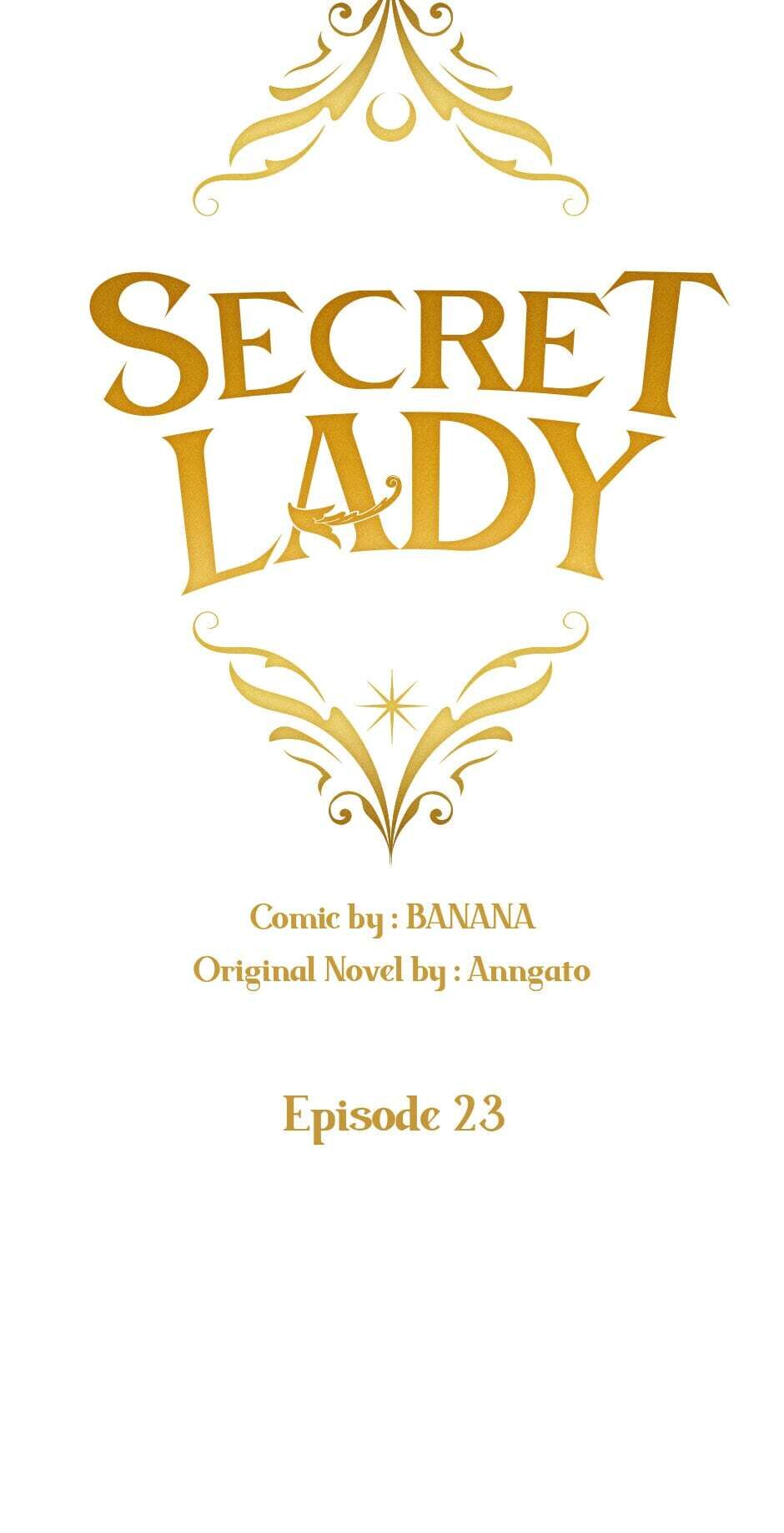 Secret Lady Chapter 23 page 17 - Chapter 23
