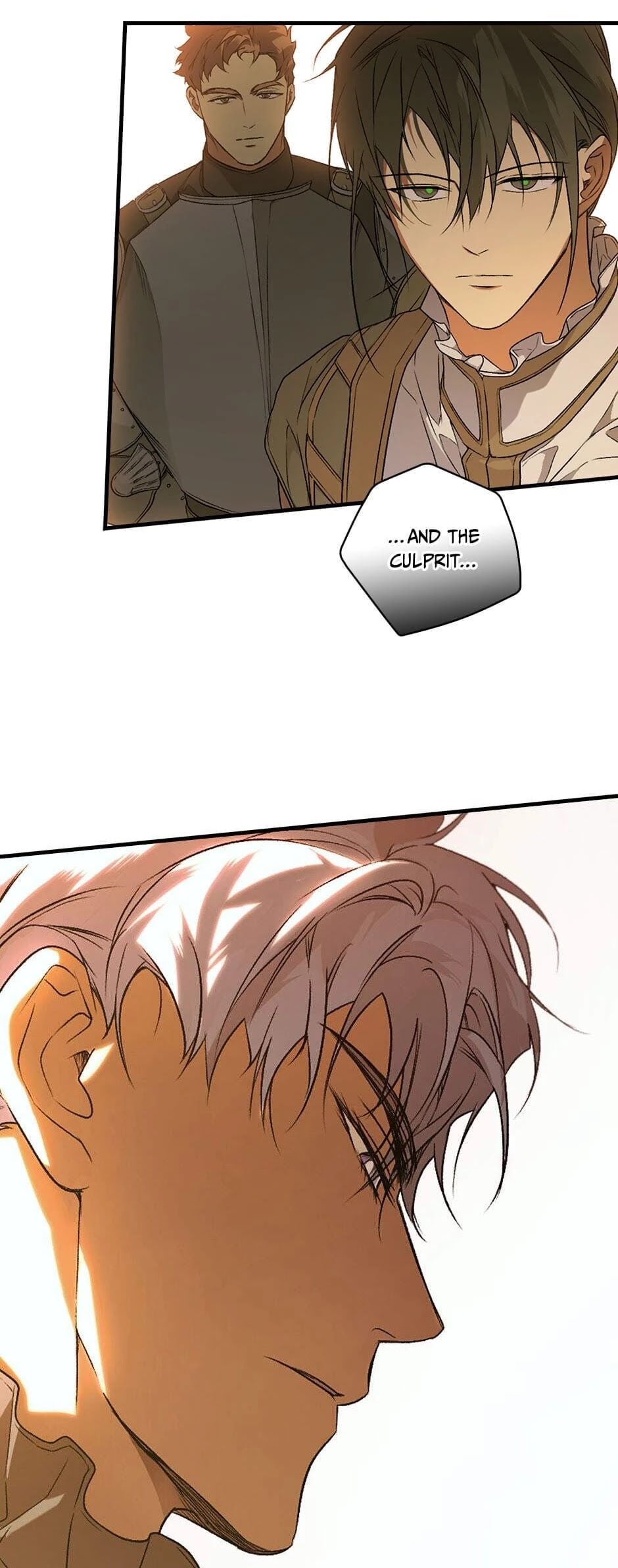 Secret Lady Chapter 33 page 15 - Chapter 33