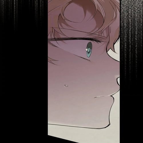 Secret Lady Chapter 48 cover