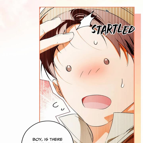 Secret Lady Chapter 96 cover