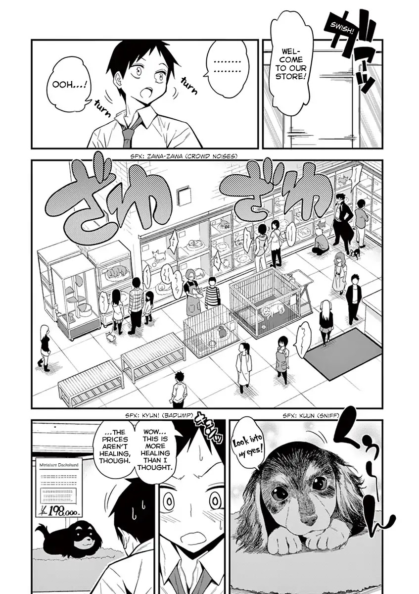 Secret Reptiles Chapter 1 page 4 - Chapter 1: Species #1: I'm Scared of Fur Sticking to Me. Can I Even Care for A Cat!?