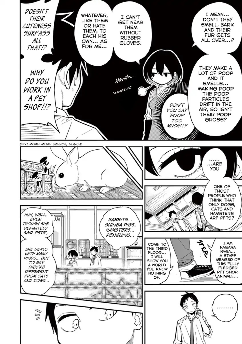 Secret Reptiles Chapter 1 page 6 - Chapter 1: Species #1: I'm Scared of Fur Sticking to Me. Can I Even Care for A Cat!?