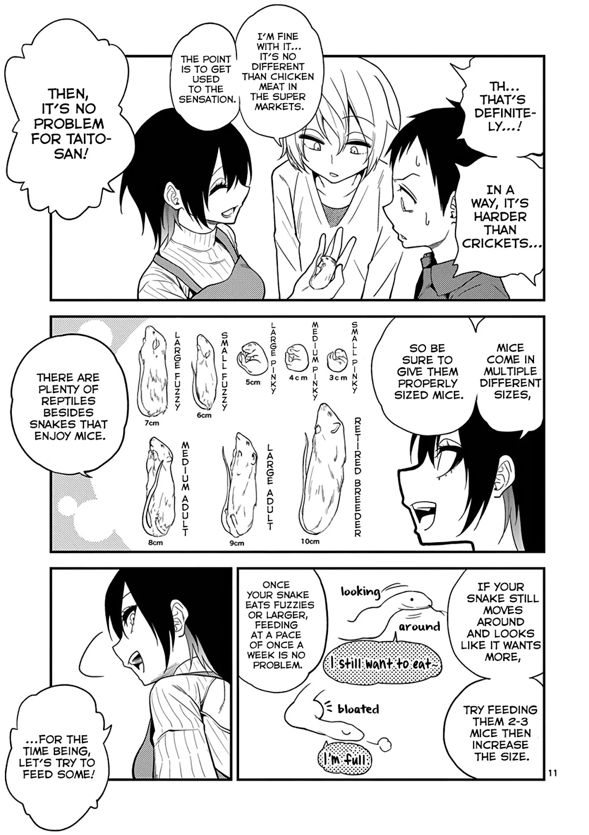 Secret Reptiles Chapter 11 page 13 - Chapter 11: Species #11: Since I can’t take the world's time...Snakes raising snakes?!