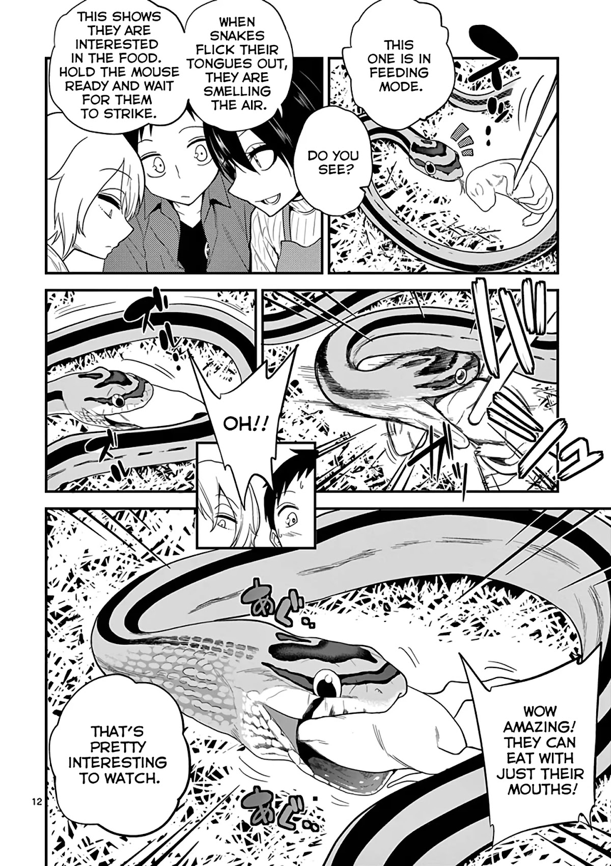 Secret Reptiles Chapter 11 page 14 - Chapter 11: Species #11: Since I can’t take the world's time...Snakes raising snakes?!