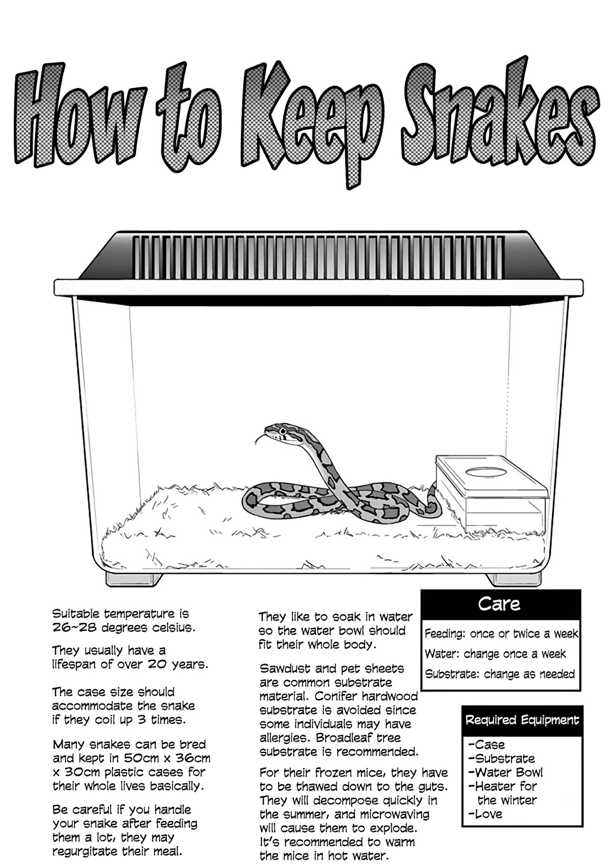 Secret Reptiles Chapter 11 page 16 - Chapter 11: Species #11: Since I can’t take the world's time...Snakes raising snakes?!