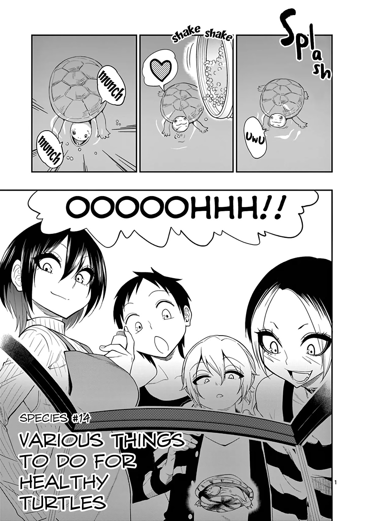Secret Reptiles Chapter 14 page 2 - Chapter 14: Species #14: Various things to do for healthy turtles