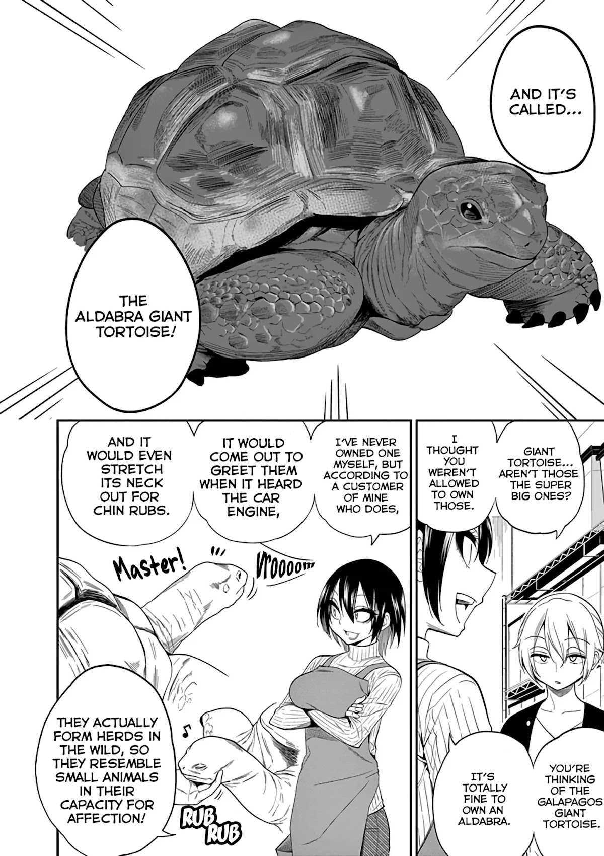 Secret Reptiles Chapter 14 page 7 - Chapter 14: Species #14: Various things to do for healthy turtles