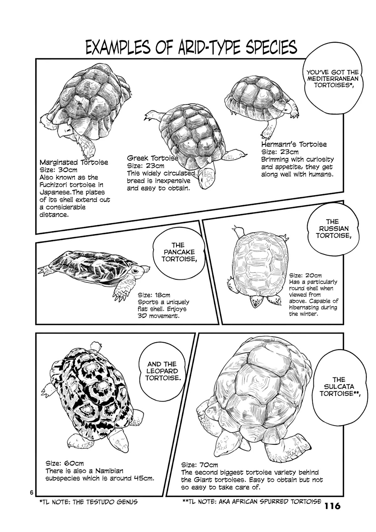Secret Reptiles Chapter 15 page 7 - Chapter 15: Species #15: Wow This Story Is Sobering...