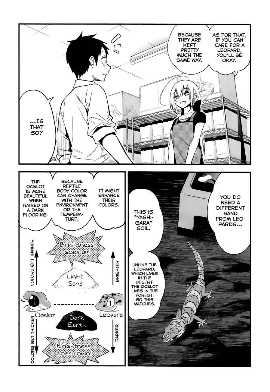 Secret Reptiles Chapter 5 page 14 - Chapter 5: Species #5 - Tsukkomi Meister
