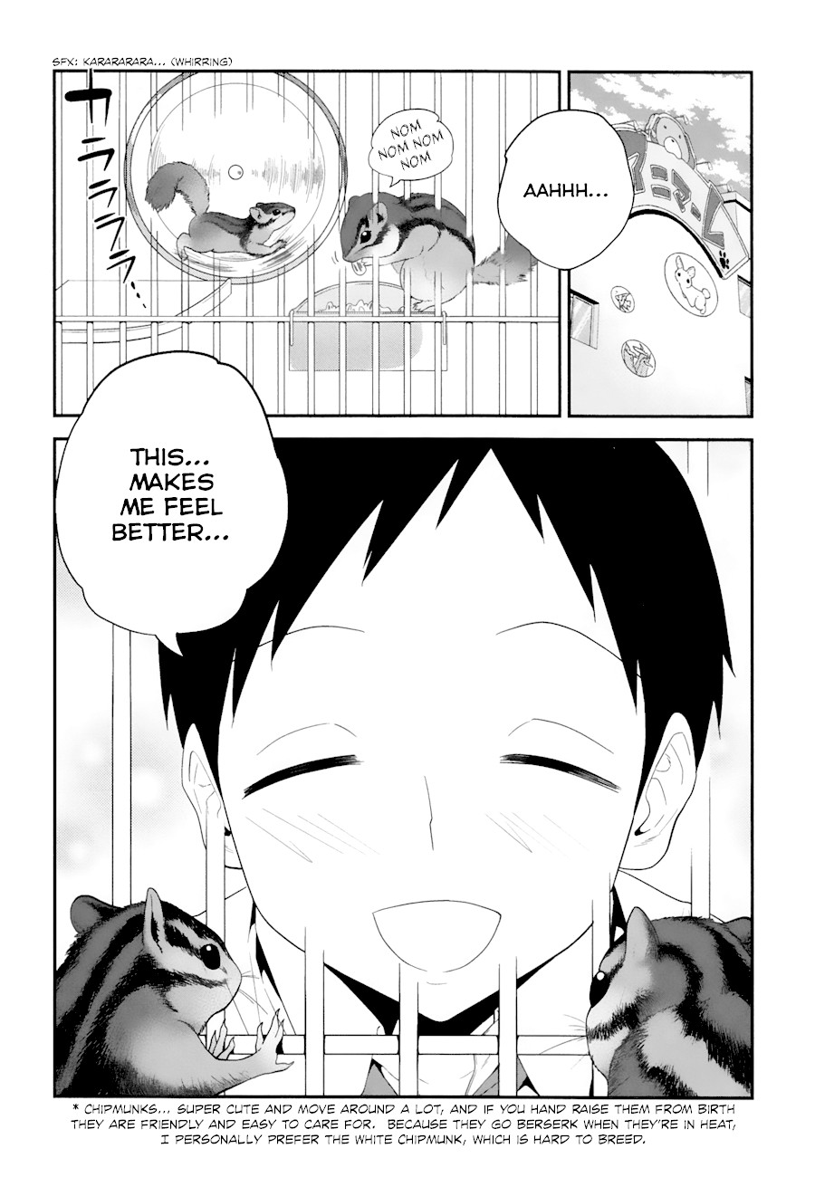 Secret Reptiles Chapter 5 page 2 - Chapter 5: Species #5 - Tsukkomi Meister